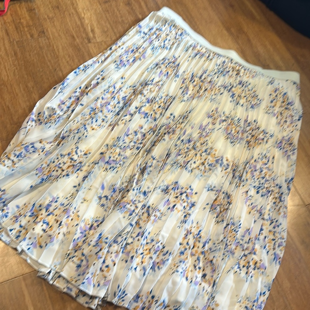 Long Skirt